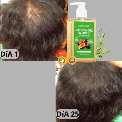Shampoo con aceite de batana: fuerza, brillo y resultados reales + envío gratis